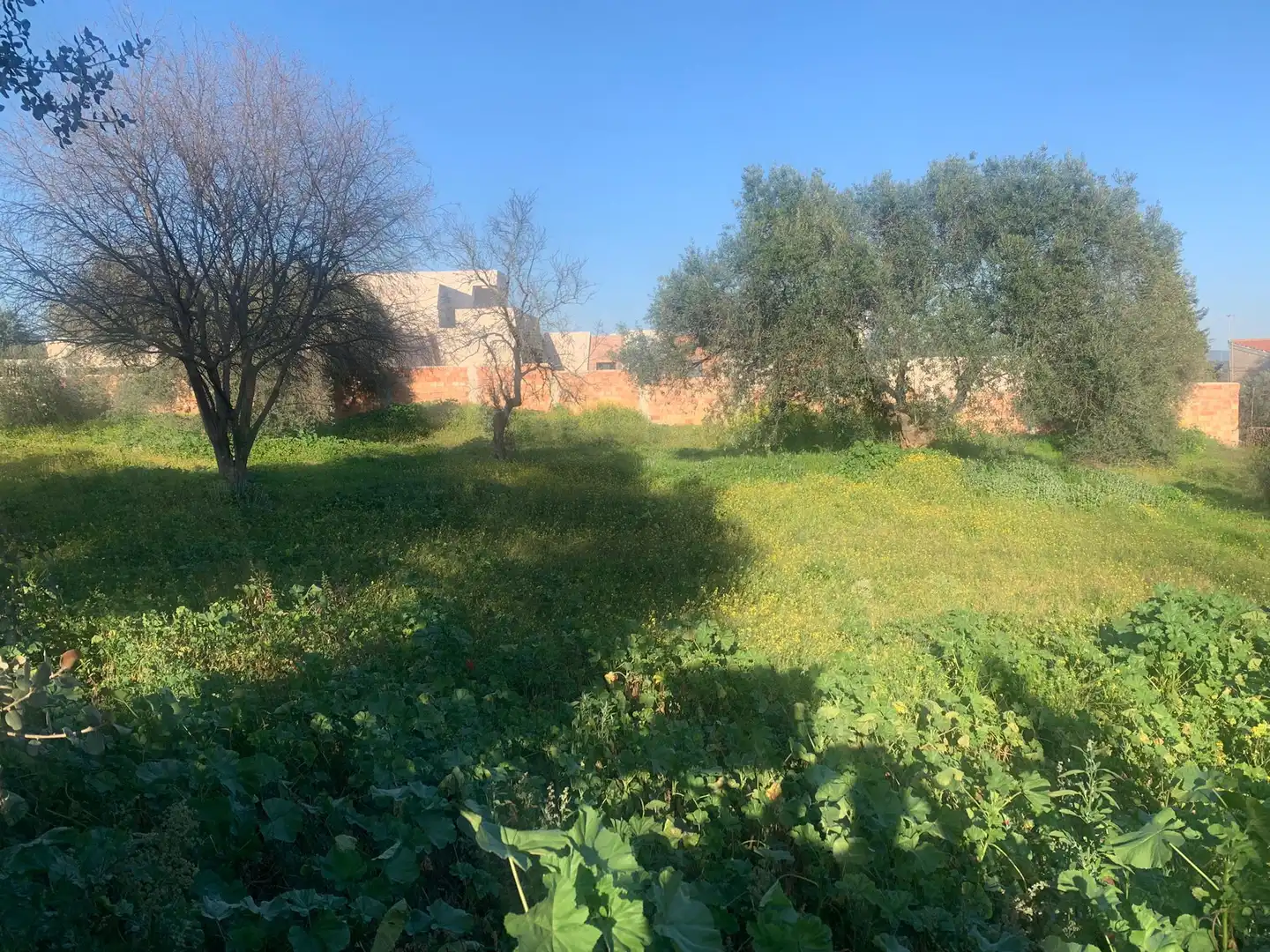 Residential land for sale in Norte-Sierra, imagen 3