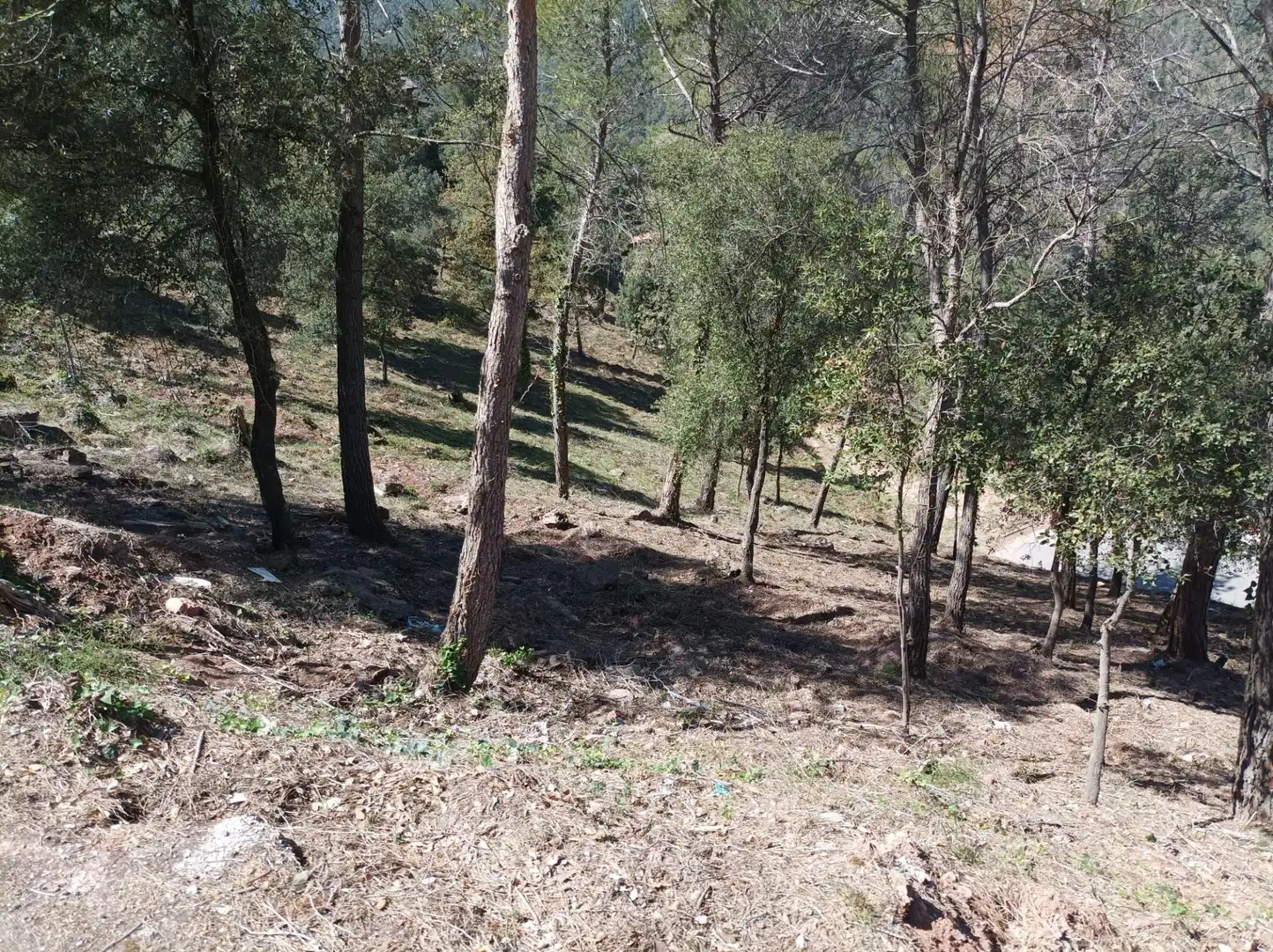 Wohnbaugrundstück zum Verkauf in El Racó - Sant Feliu del Racó, imagen 5