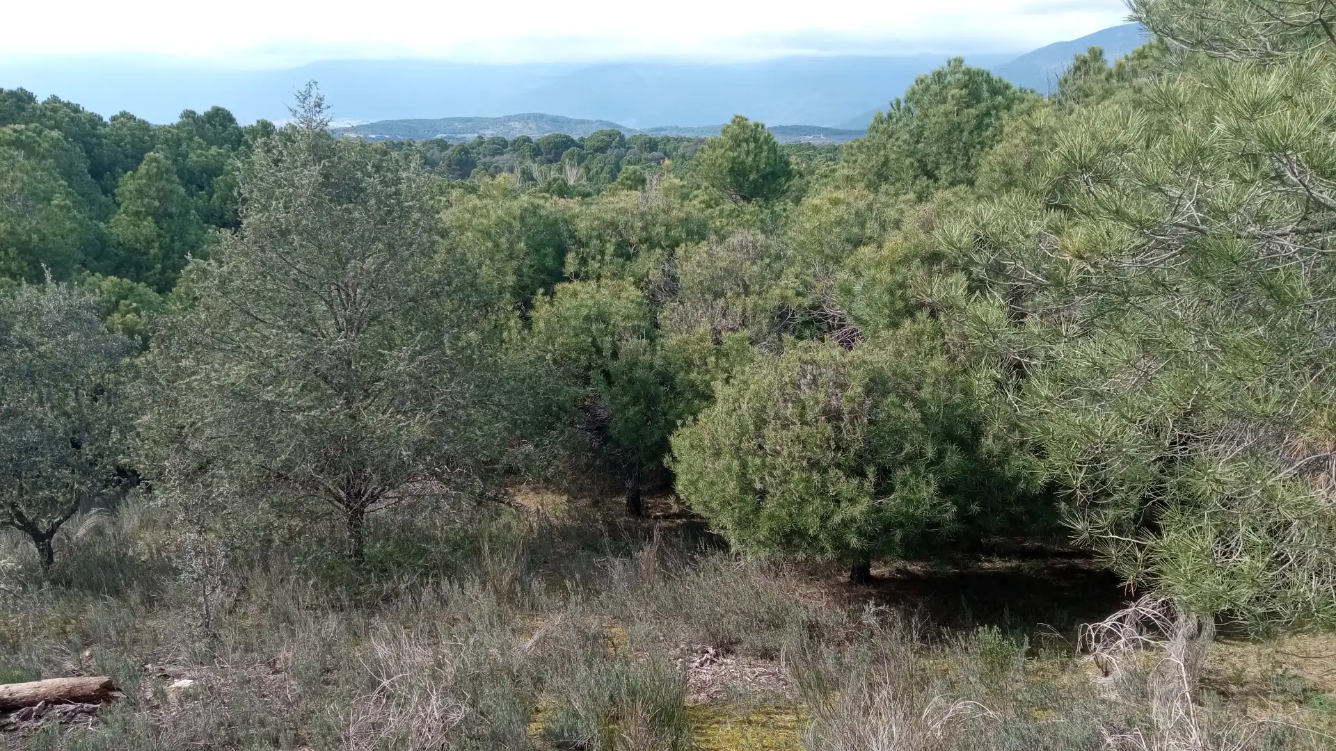 Terreni e lotti in vendita a Sotillo de la Adrada, imagen 5