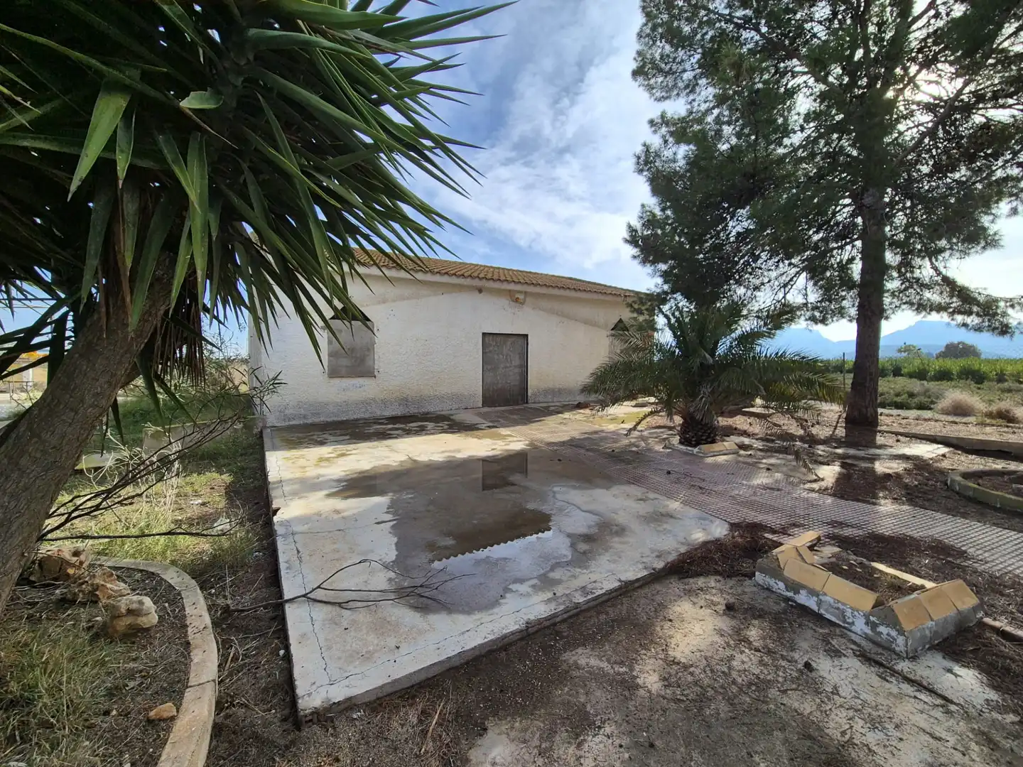 Business premises for sale in Paraje Casa Cabrera, imagen 15