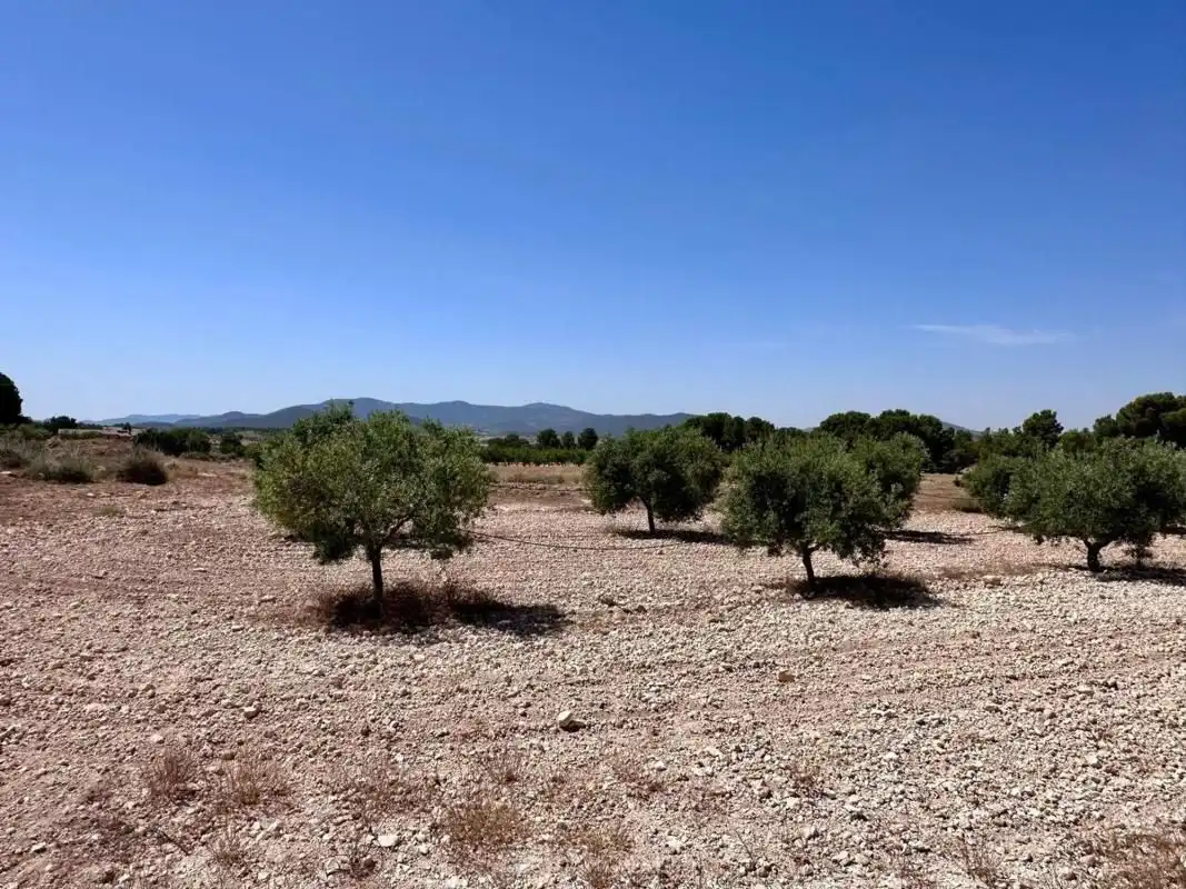 Terrain résidentiel à vendre à Monóvar  / Monòver, imagen 10