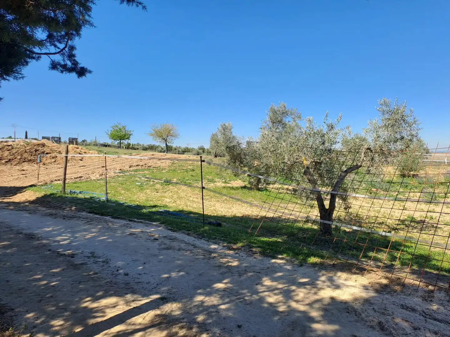Terreny residencial en venda a Griñón, imagen 35