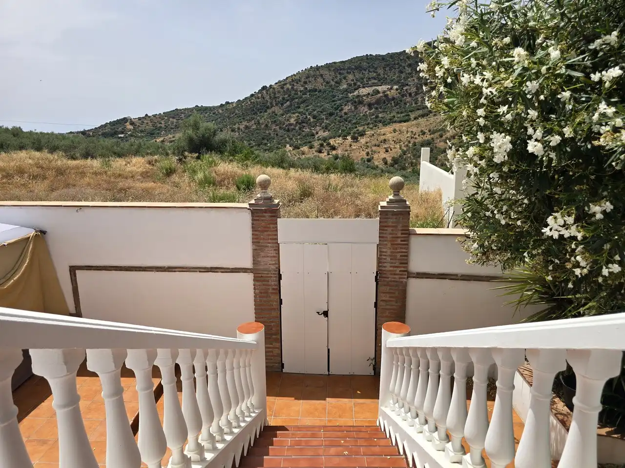 Jardí de Casa o xalet en venda en Periana amb Aire condicionat, Terrassa i Piscina