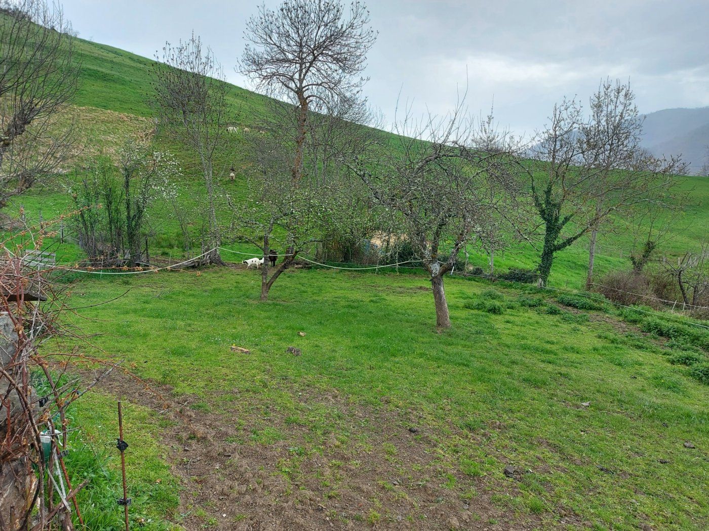 Casa o xalet en venda en Camaleño amb Jardí privat
