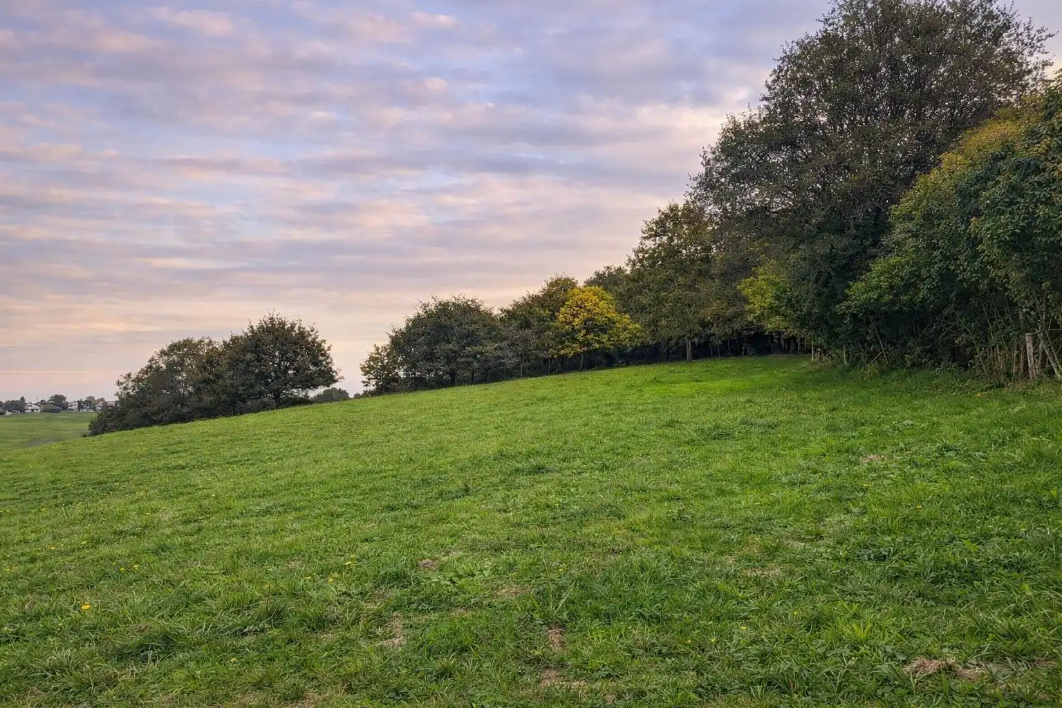 Land for sale in Comillas (Cantabria)