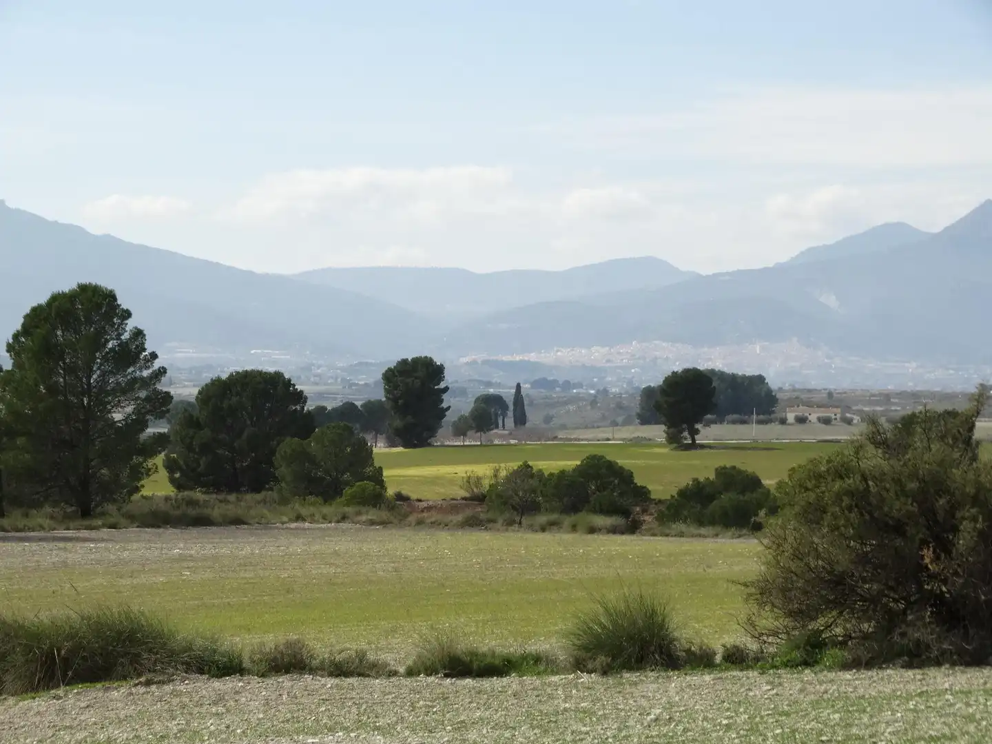 Terreni e lotti in vendita a Moratalla, imagen 4