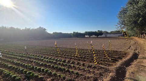 Foto 3 von Residential zum Verkauf in Mejana, Parque del Queiles, Tudela