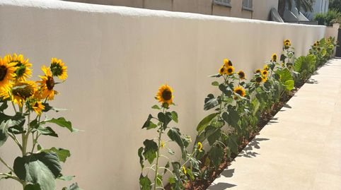 Foto 3 de Apartament de lloguer a Cala Ratjada, Capdepera
