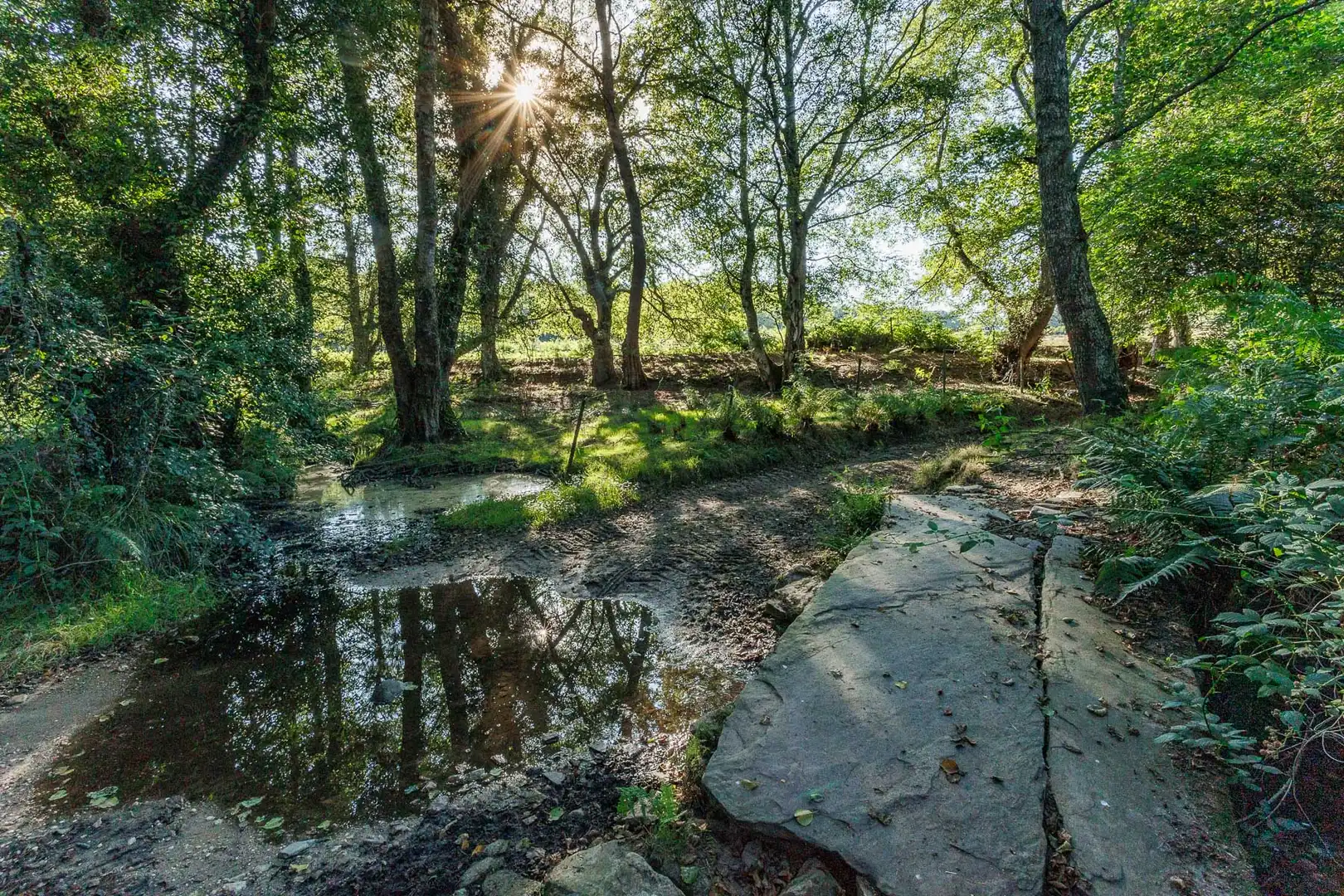 Vista exterior de Finca rústica en venta en Outeiro de Rei