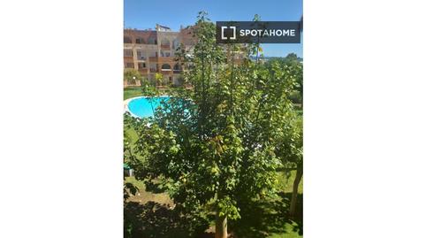 Photo 2 of Apartment to share in Santa Eulària, Illes Balears