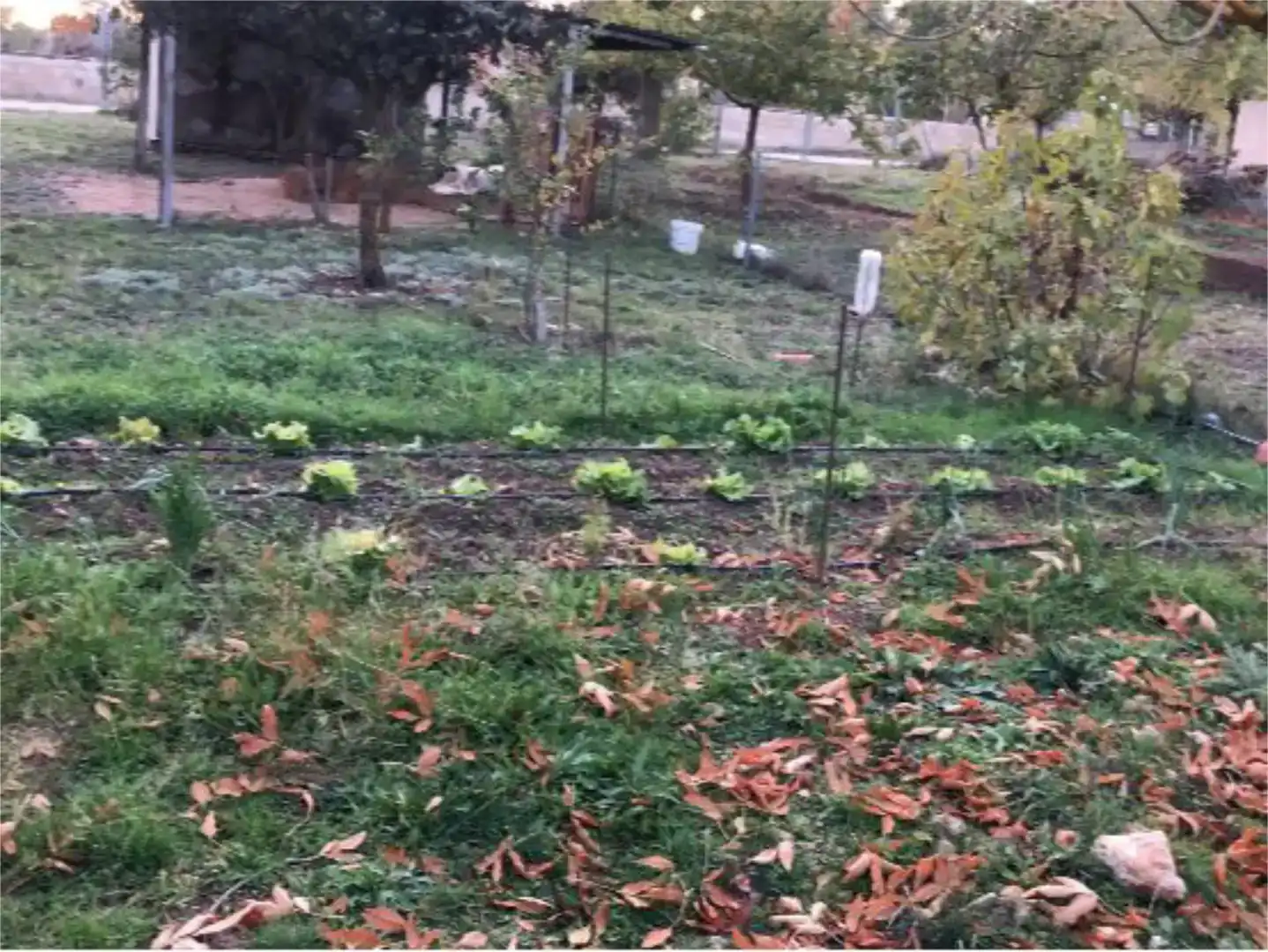 Jardín de Piso en venta en Villar de Cañas con Jardín privado, Trastero y Piscina