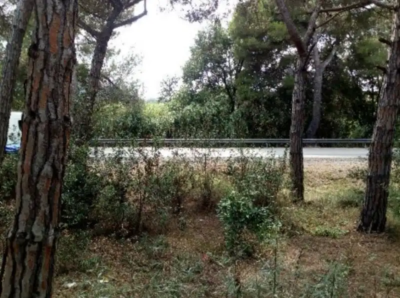 Residential land for sale in INDUSTRIAL CN II, POLIGONO 18, PARCELA 44, imagen 16
