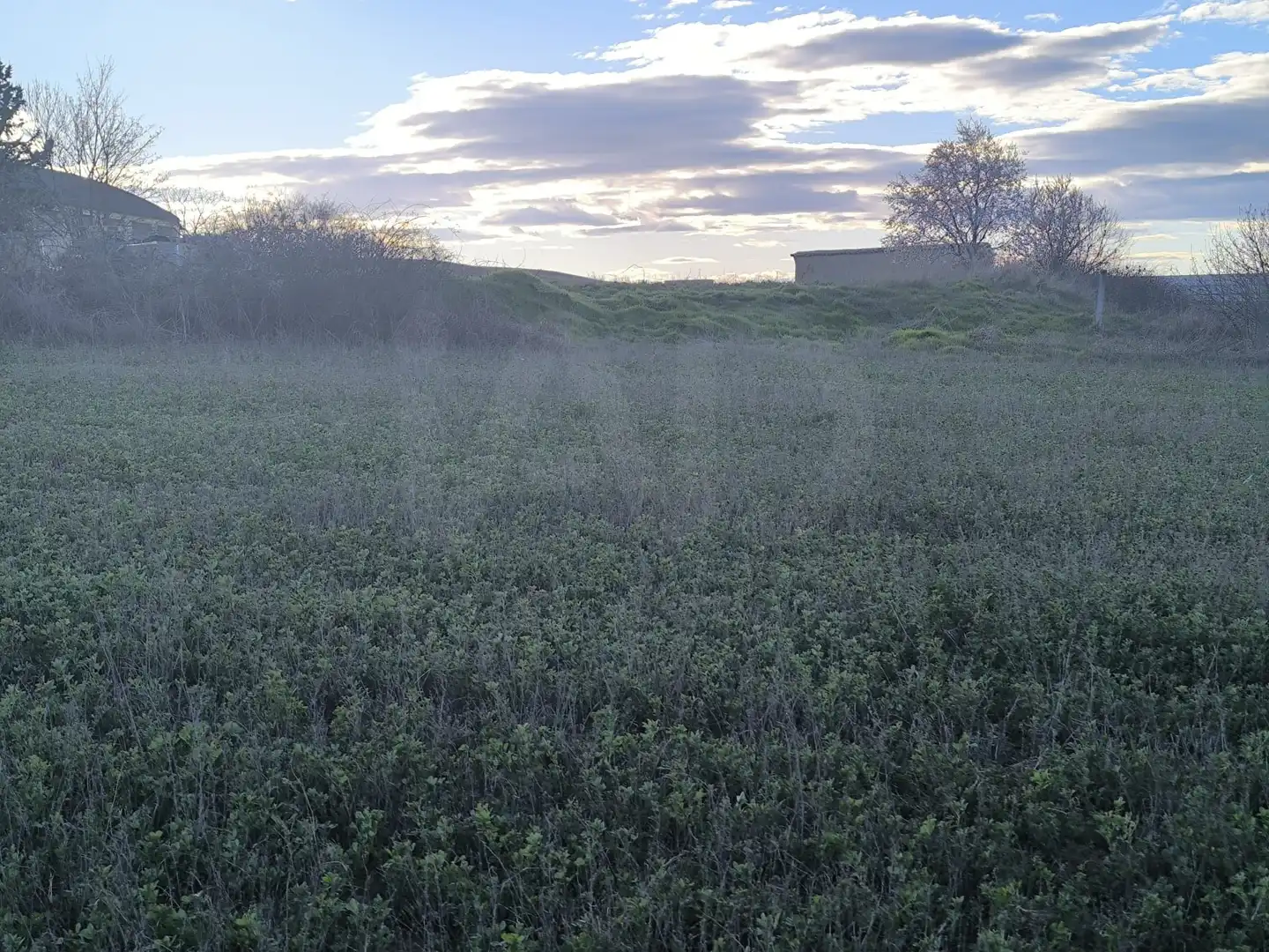 Terreno en venta en Pajares de los Oteros