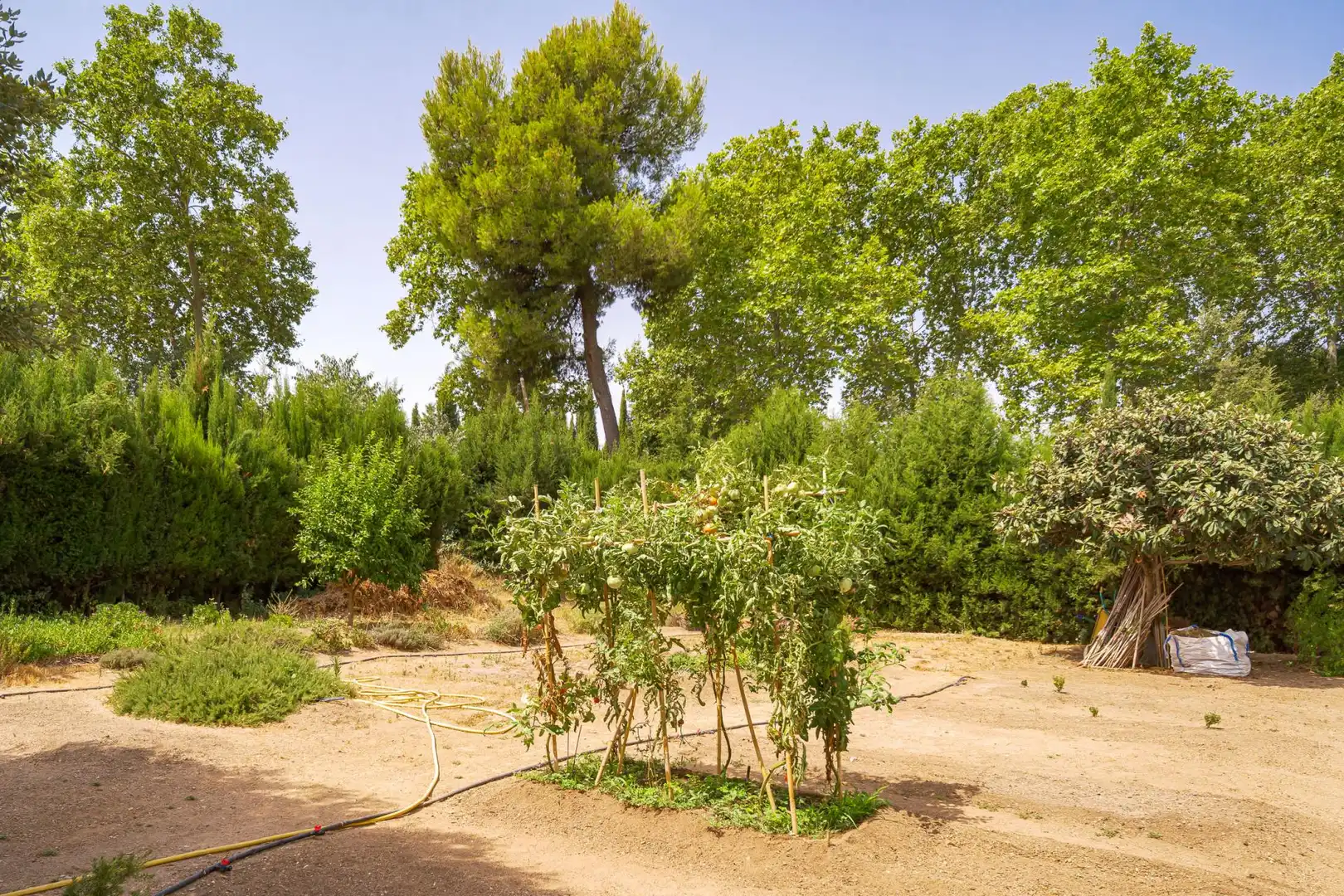 Chalet con jardín en venta en CM Can Quana, imagen 40