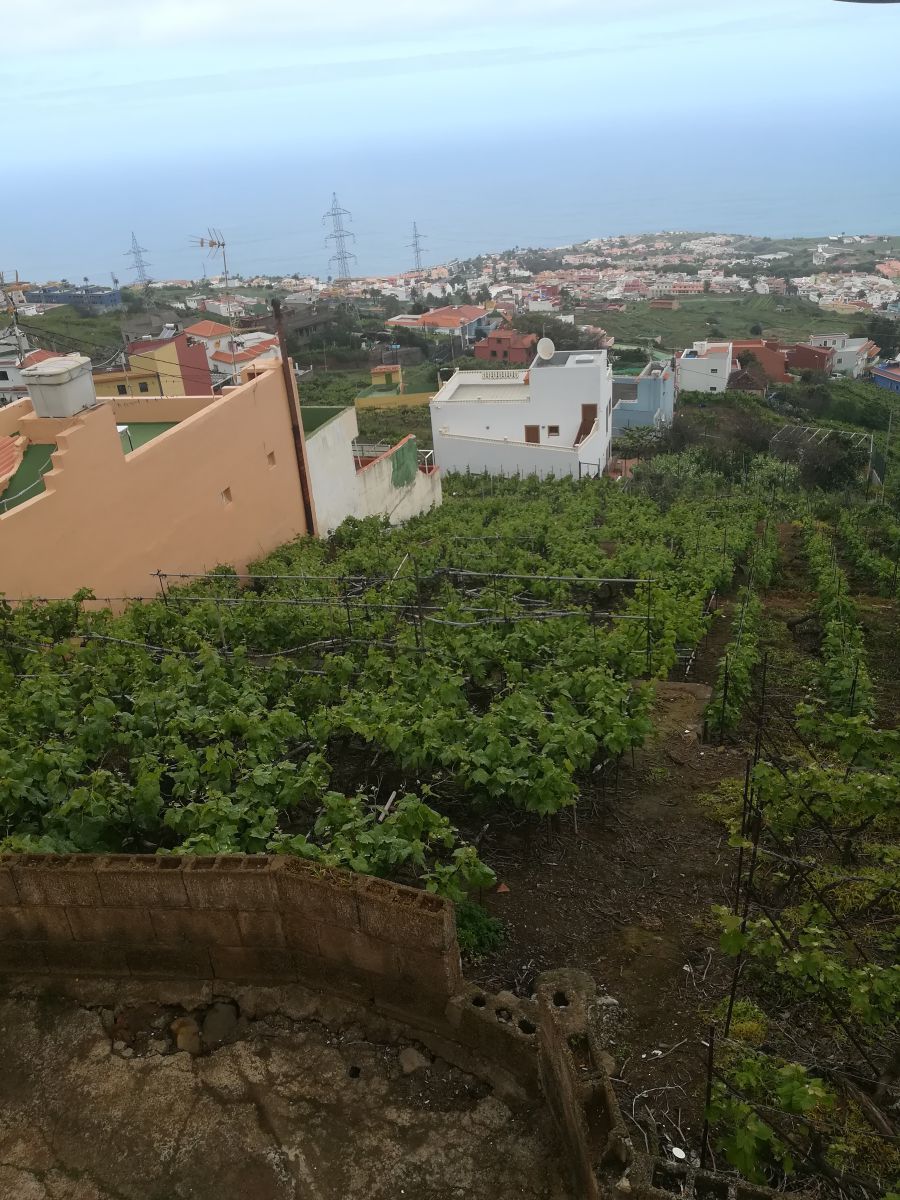 Finca rústica en venda en Santa Úrsula amb Terrassa i Balcó