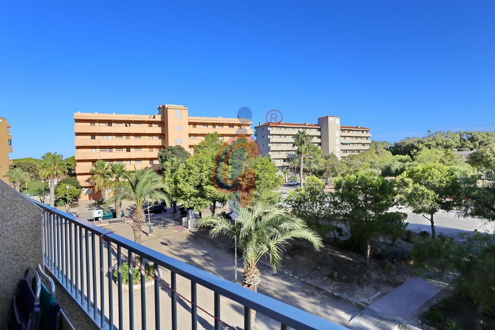 Vista exterior de Pis en venda en Guardamar del Segura amb Terrassa