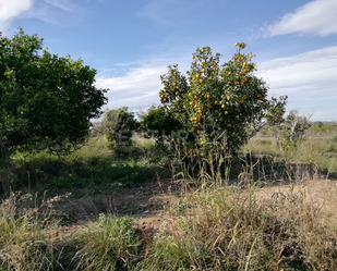 Finca rústica en venda en  Murcia Capital