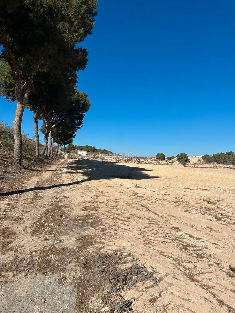 Terrain rustique à vendre à Camino de Catral 31