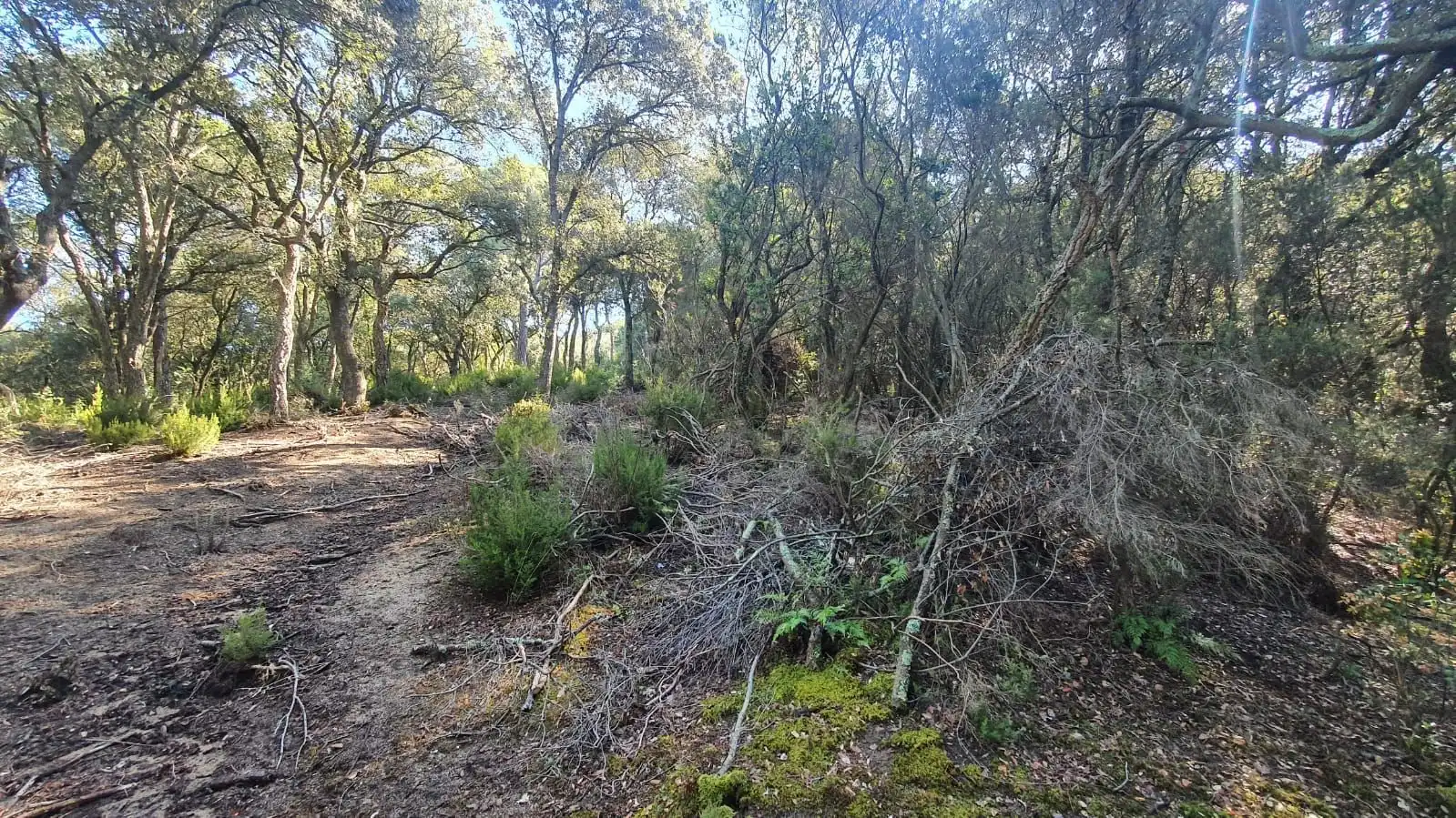 Grundstücke zum Verkauf in Sant Celoni