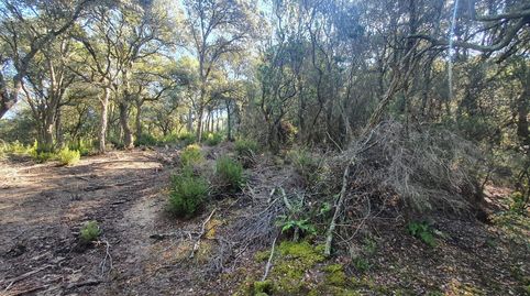 Foto 5 von Grundstücke zum Verkauf in Sant Celoni, Barcelona