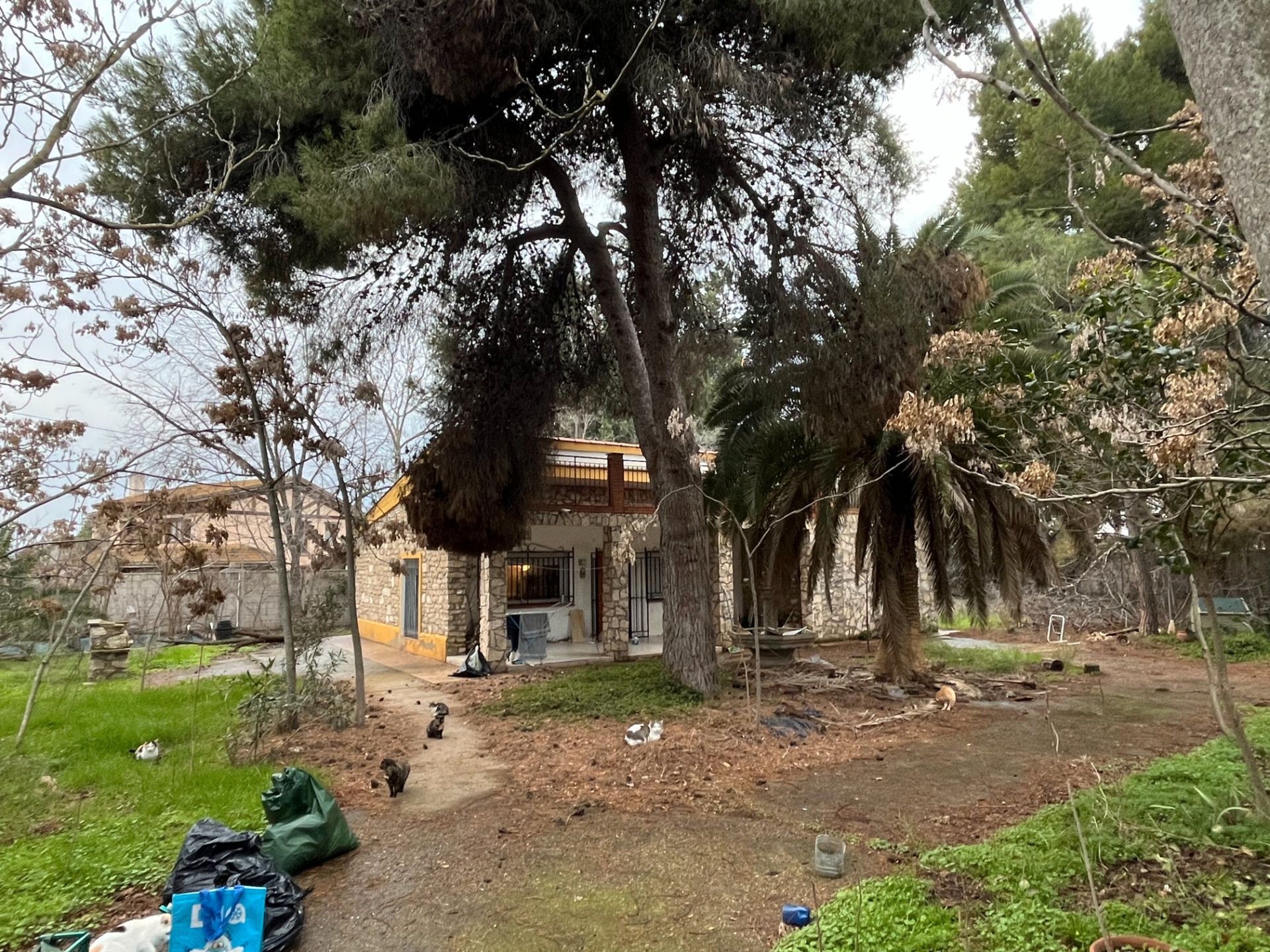 Vista exterior de Casa o xalet en venda en Alfajarín amb Jardí privat, Terrassa i Piscina