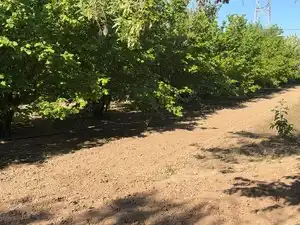 Terreno rustico in vendita a Carrer Sant Pere 1, imagen 12