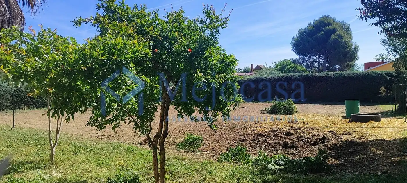 Casa o xalet en venda en Valdetorres de Jarama amb Calefacció, Jardí privat i Terrassa