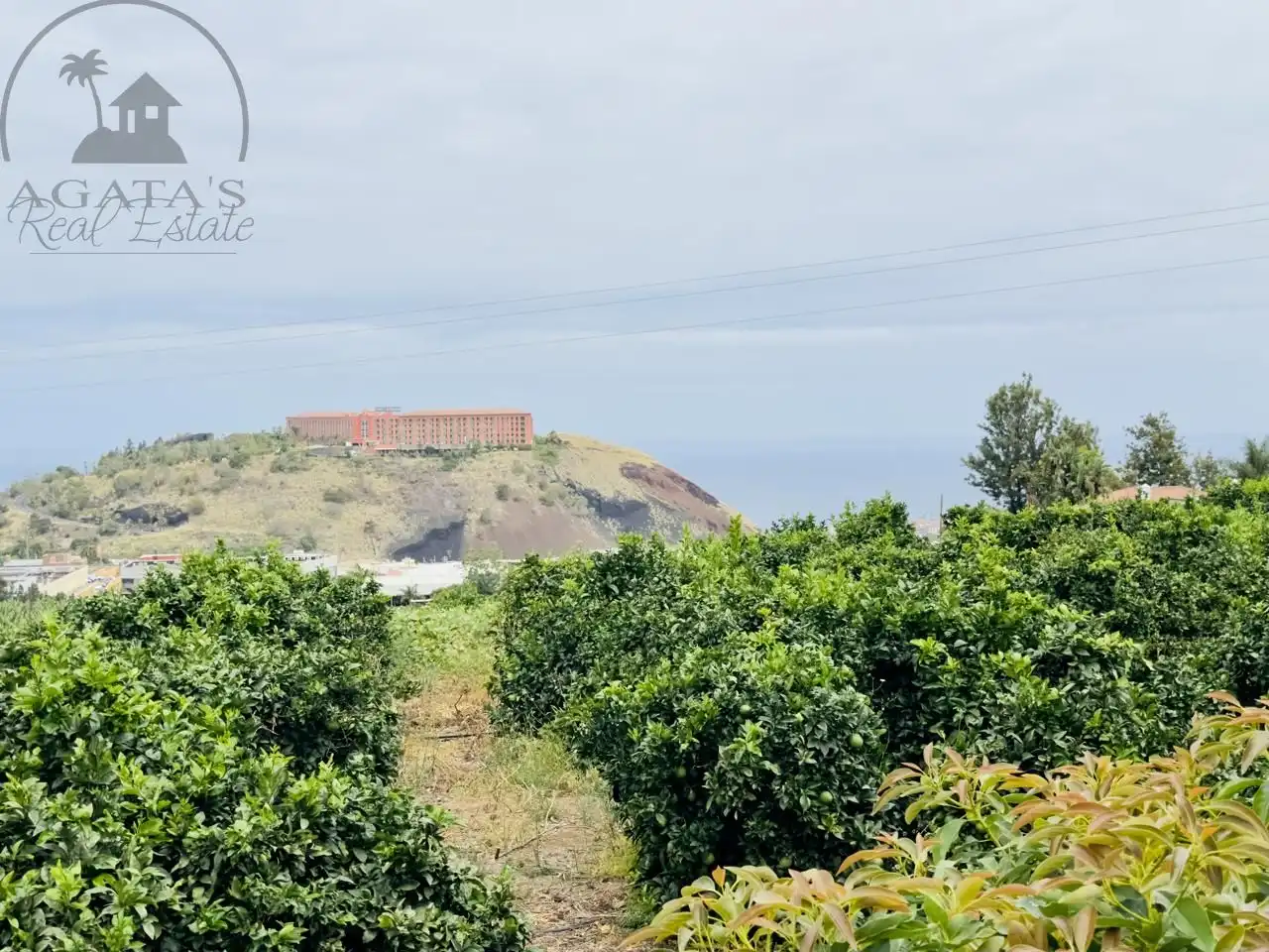 Finca rústica en venta en La Orotava con Jardín privado y Terraza