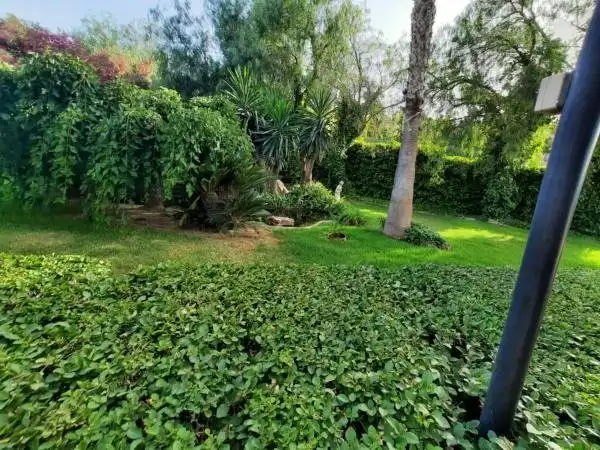 Villa avec piscine à vendre à Monóvar  / Monòver, imagen 69