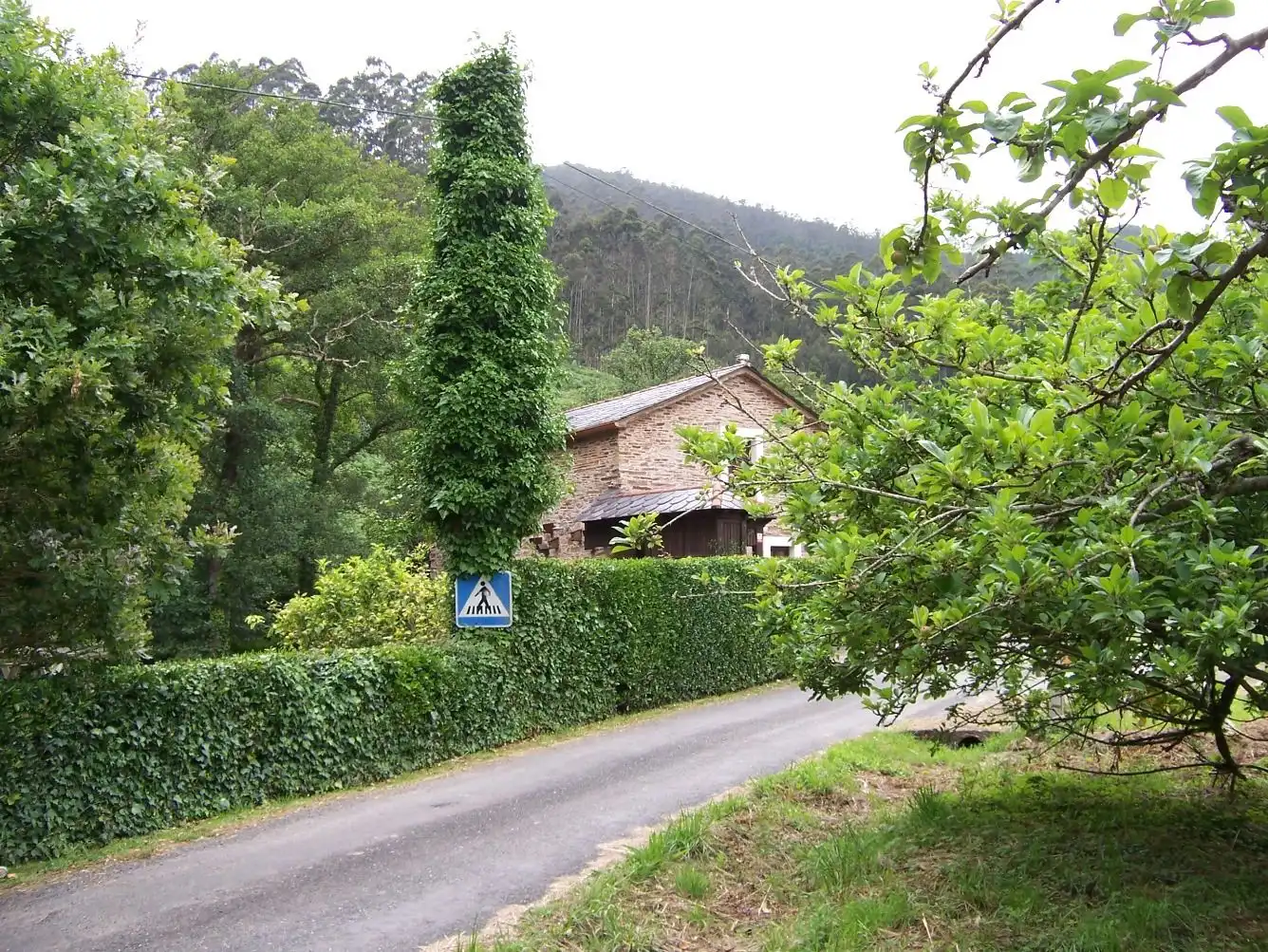 Terreni e lotti in vendita a Aldea o Lourido 6, imagen 8