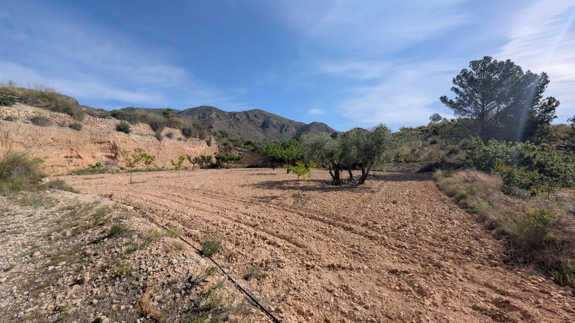 Casa con jardín en venta en Hondón de las Nieves / El Fondó de les Neus, imagen 83