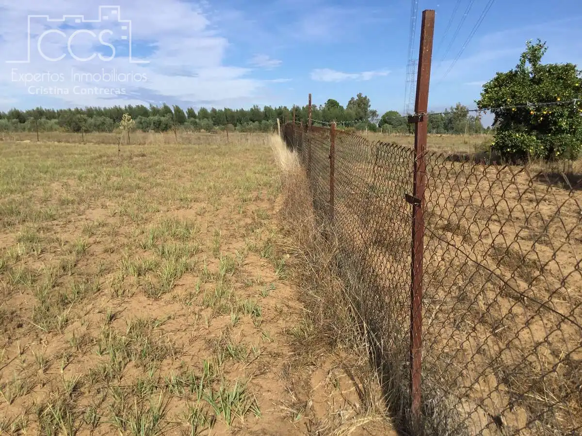 Country house for sale in Almonte ciudad, imagen 19