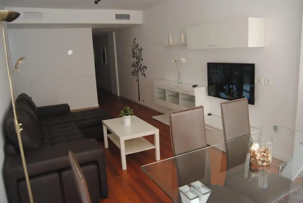 Sala de estar de Piso de alquiler en Málaga con Aire acondicionado, Amueblado y Horno