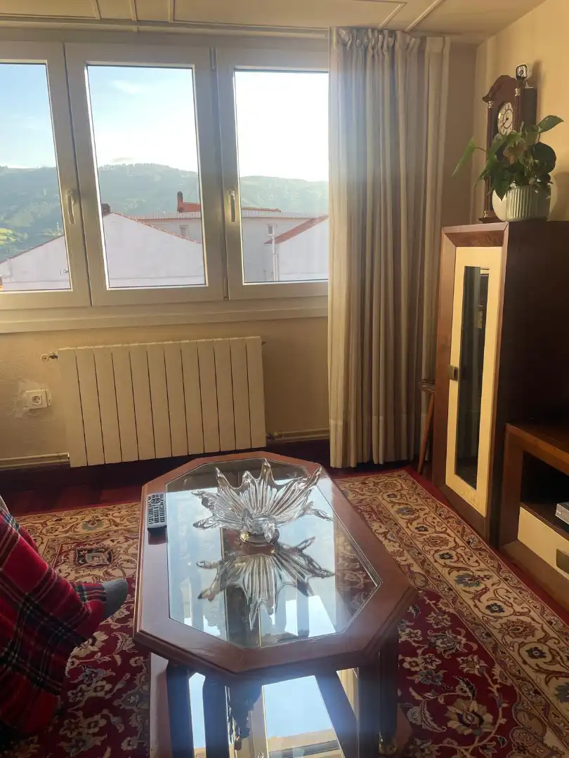 Living room of Flat for sale in Sestao   with Heating, Furnished and Oven