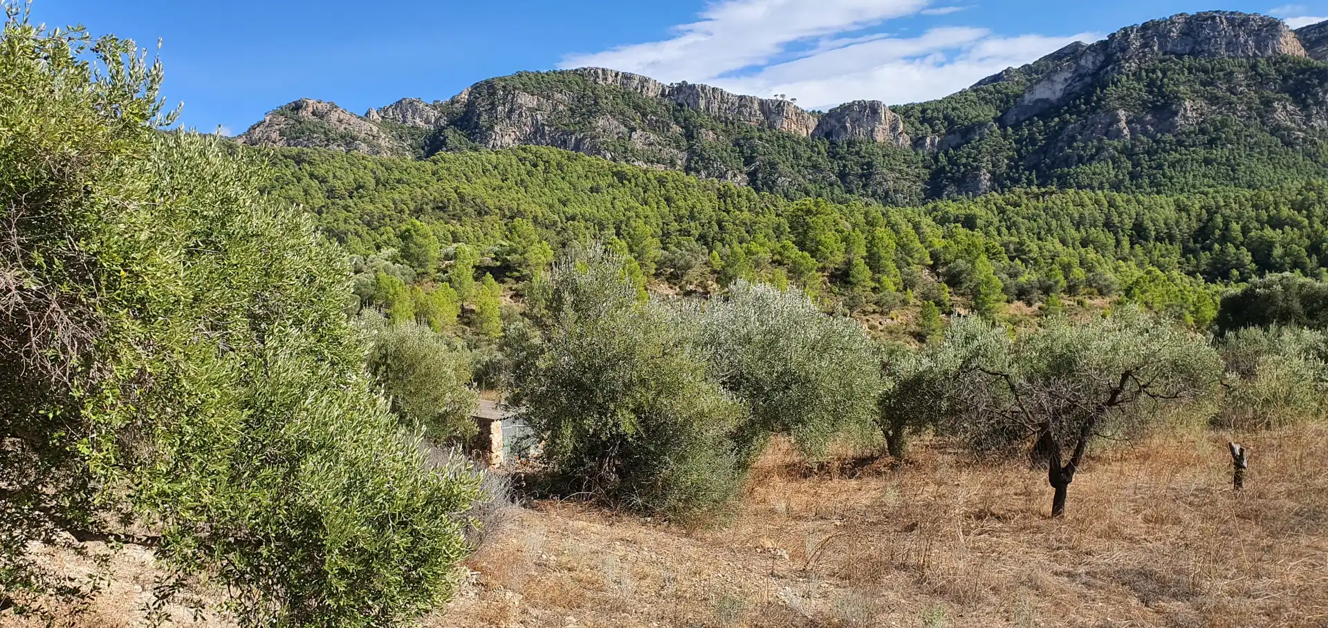 Houses for sale in Benifallet