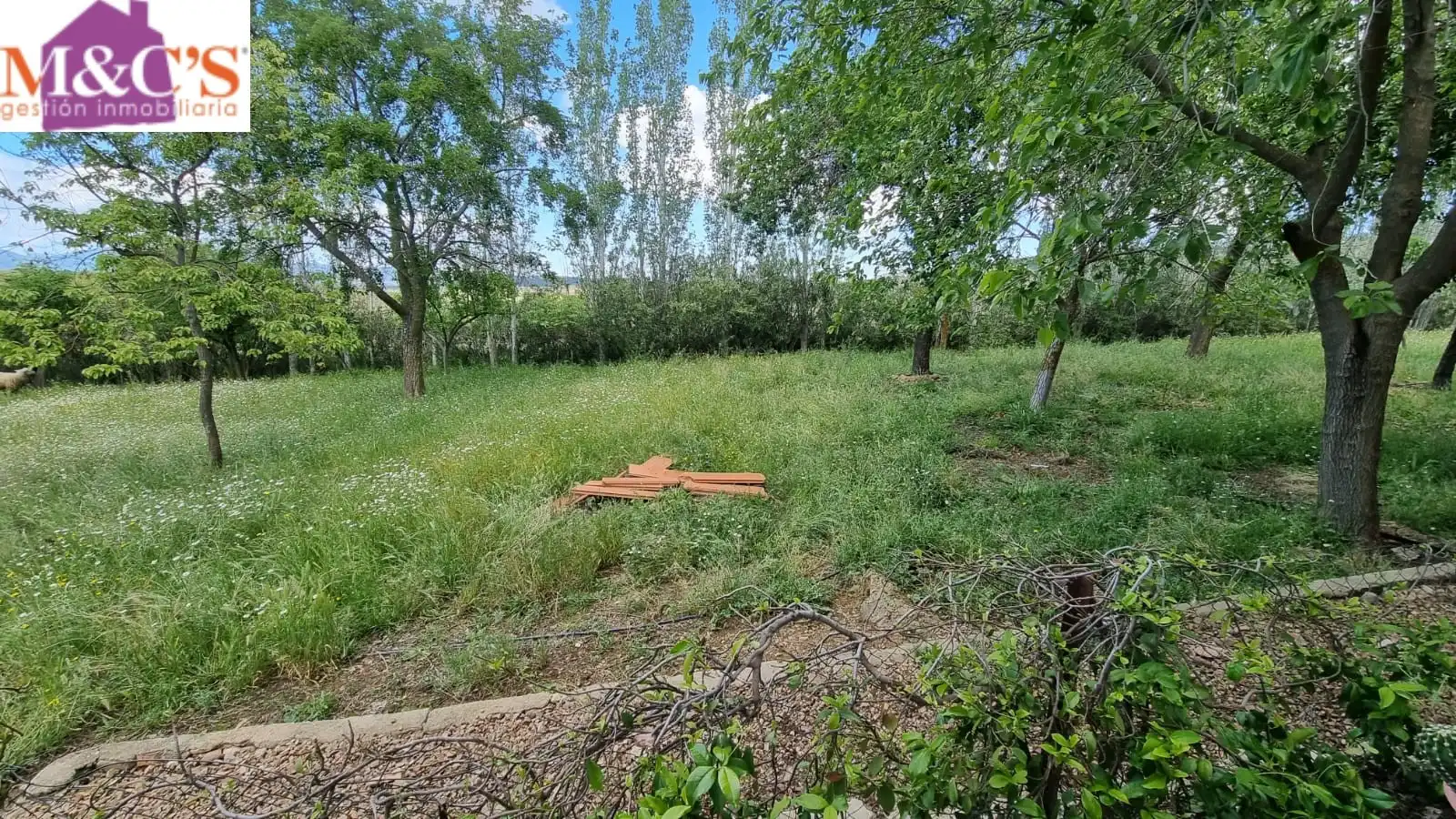 Xalet amb jardí en venda a Cabezarrubias del Puerto, imagen 9
