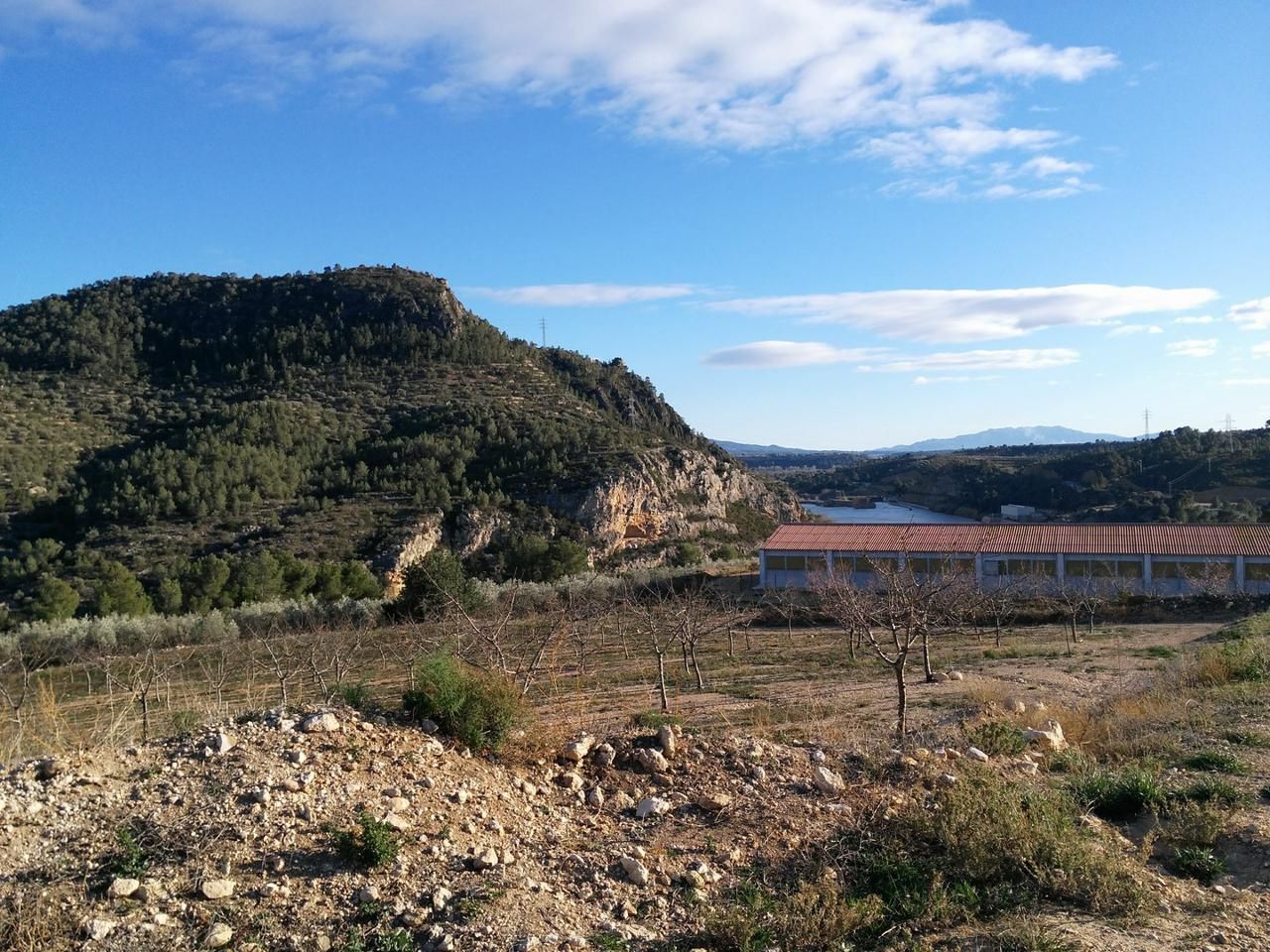 Finca rústica en venda a Poligono 2, Xerta