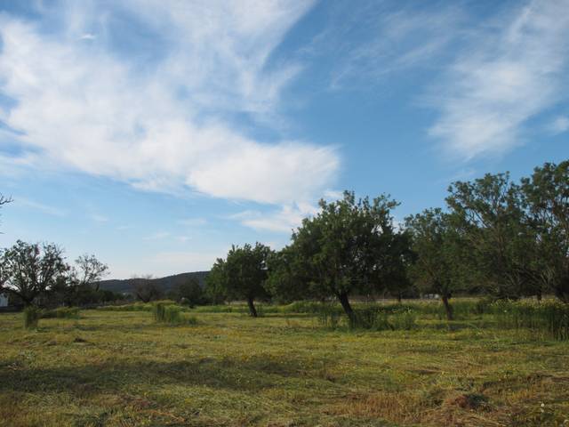 Terreno en Alquiler en Felanitx Poble