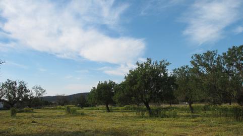 Foto 2 von Grundstücke zur Miete in Felanitx Poble, Felanitx