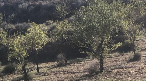 Foto 3 de Casa o xalet en venda a Campo, Bédar, Almería