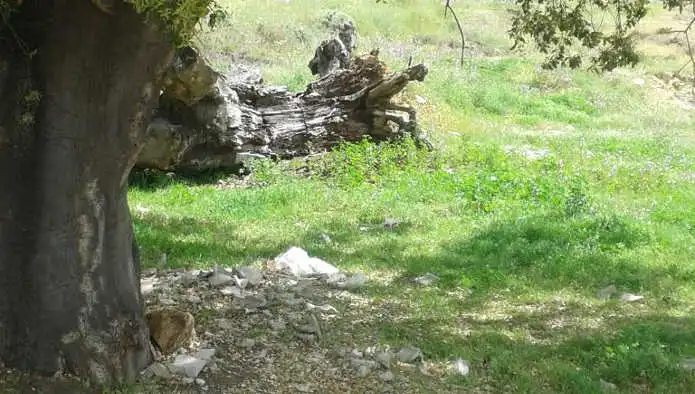 Terreni e lotti in vendita a Ctra Sevilla-Lisboa, imagen 8