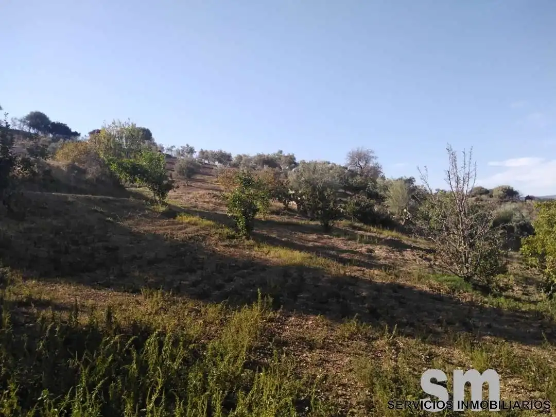 Terreno en venta en Zahara