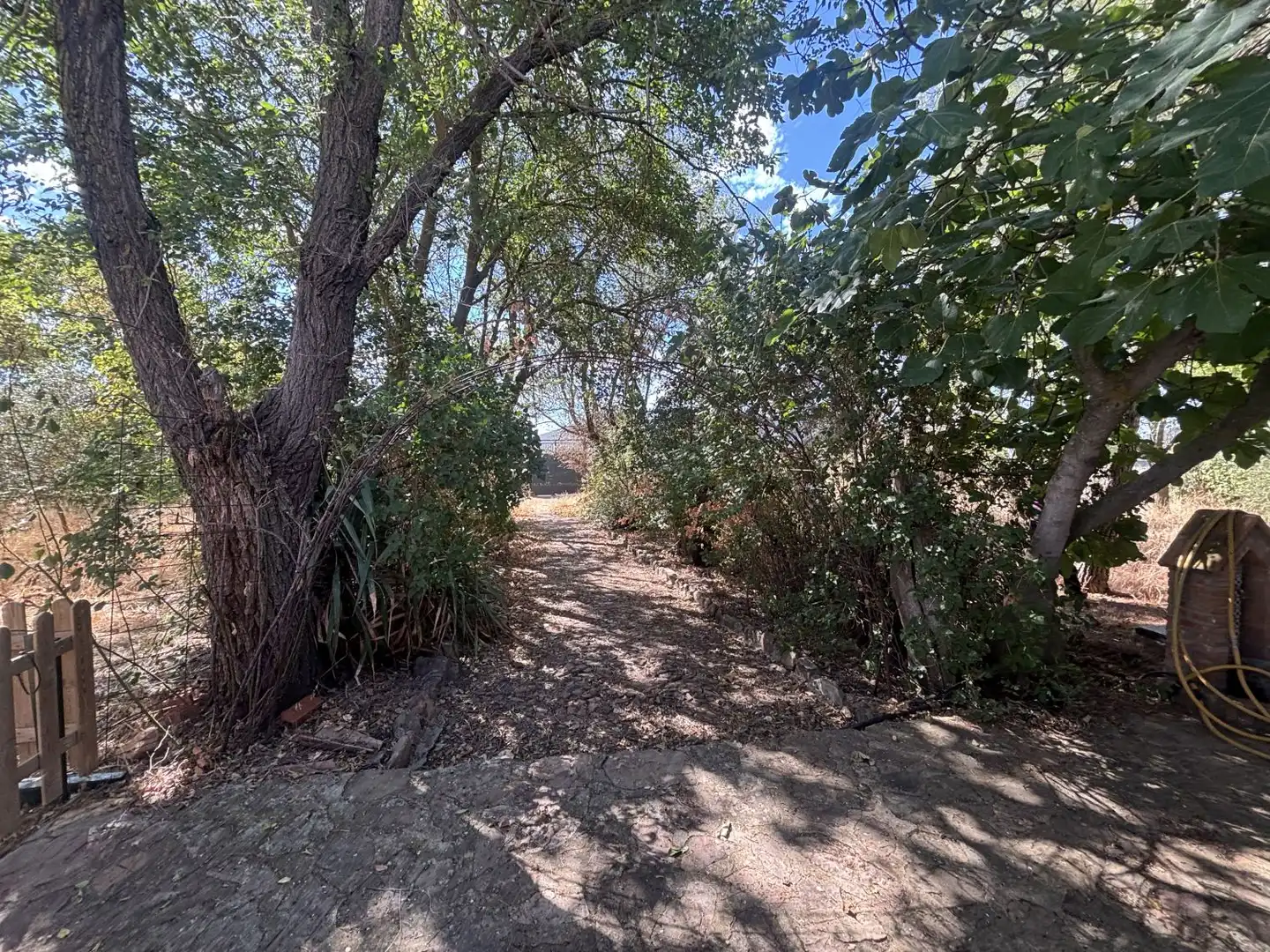 Country homes for sale in Orgaz