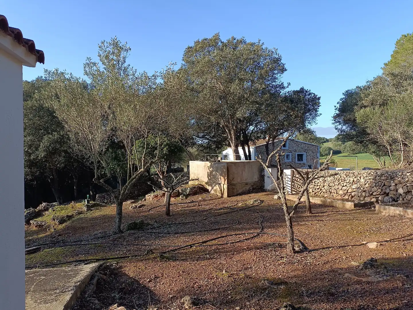 Casa o xalet en venda a Ses Salines de Fornells
