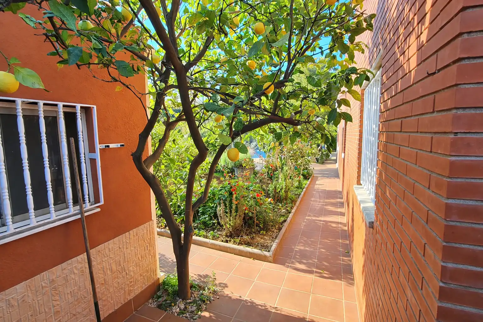 Jardín de Casa o chalet en venta en El Vendrell