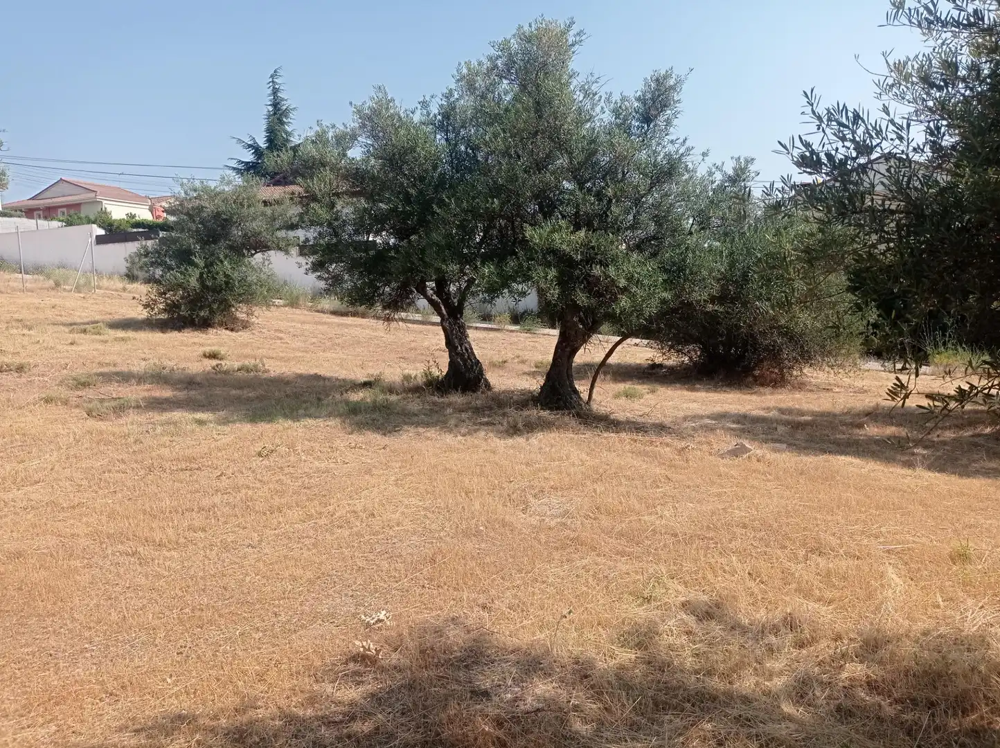 Terreni e lotti in vendita a San Martín de Valdeiglesias, imagen 6