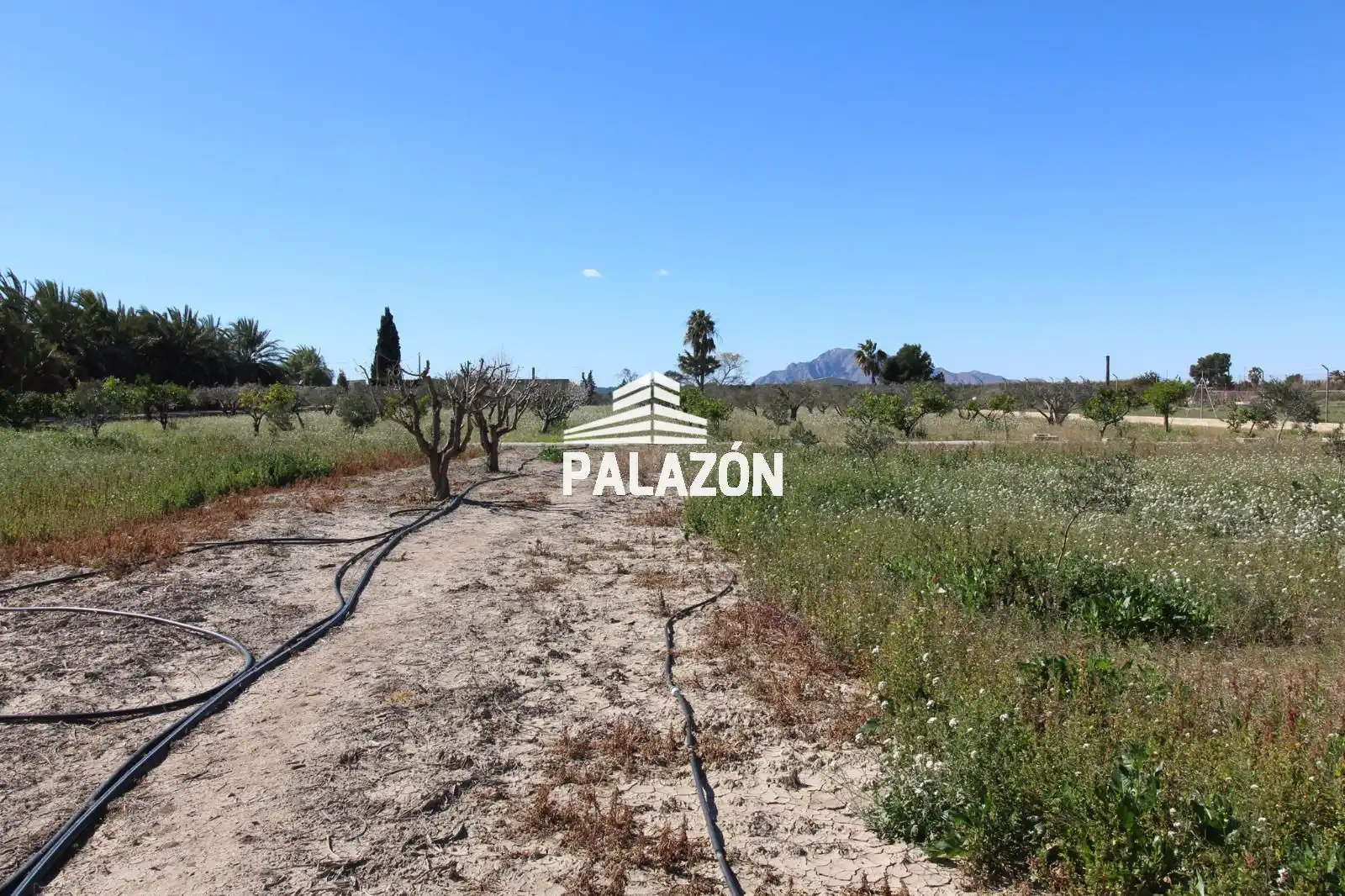 Chalet en venta en Dolores, imagen 39