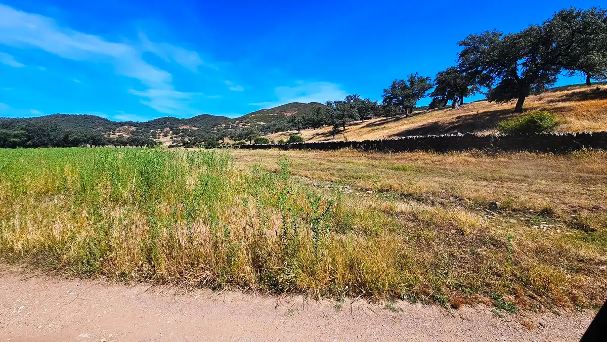 Terrenos y solares en venta en Aracena, imagen 44