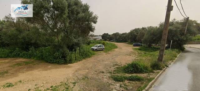 Terreno residencial en Venta en Calle DR. MIGUEL MARQUEZ en Calañas