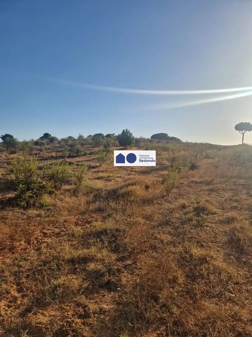 Residential land for sale in Moguer, imagen 2